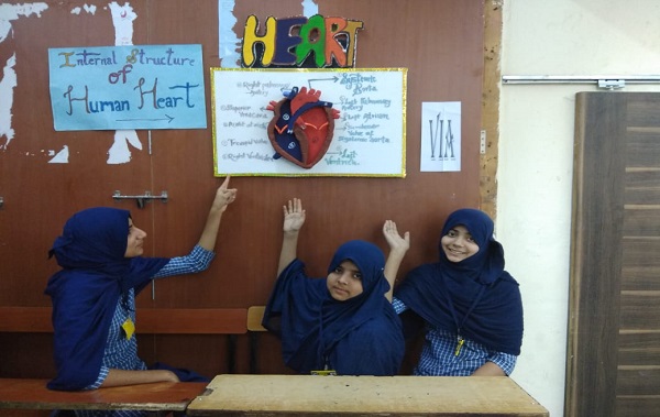 Free Bootstrap Template by ProBootstrap.com